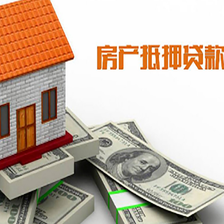 光山贷款公司新渝启服怎么选择